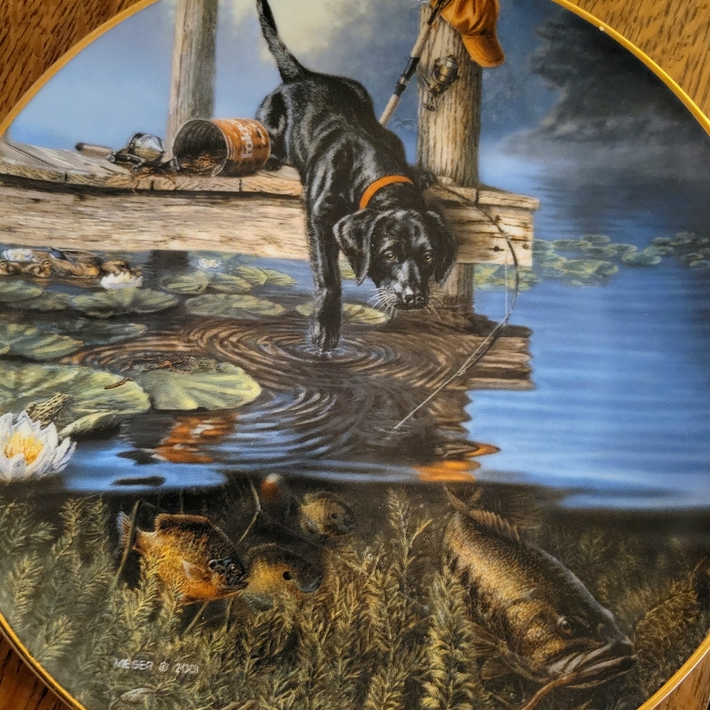 James Meger Decorative Plate "Ripples" With Black Lab - Picture 3 of 8